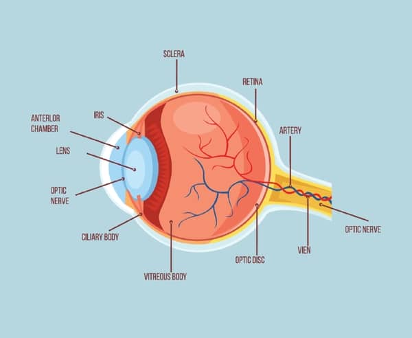 black spot in peripheral vision